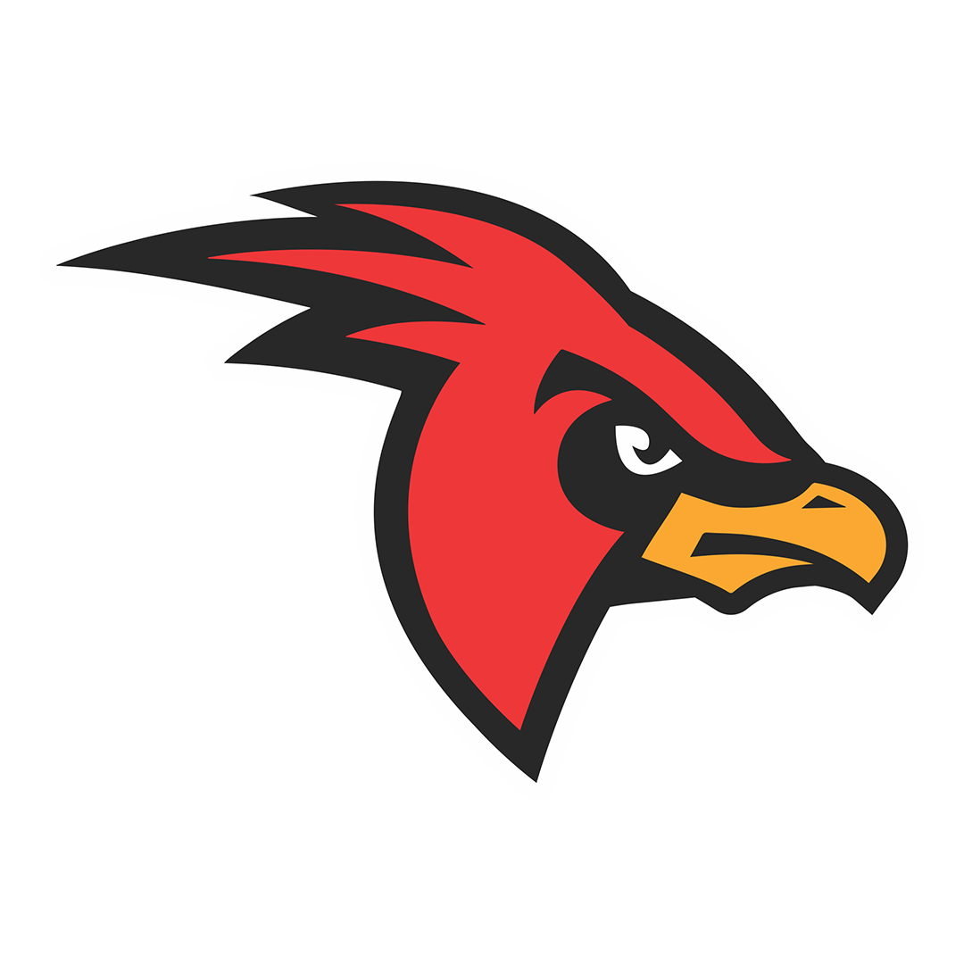 Weavers Rva Weavers Football – Campeonato Paulista de Flag